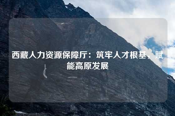 西藏人力资源保障厅：筑牢人才根基，赋能高原发展